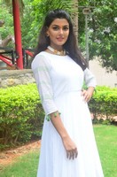 Anisha Ambrose Wet Dress Photos
